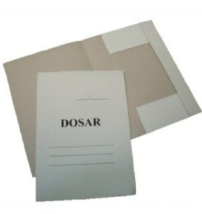 DOSARE PLIC