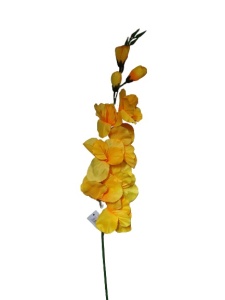 FLOARE LUNGA GLADIOLA LY202205-046