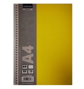 CAIET A4 80 FILE SPIRA DICTANDO