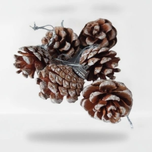 ORNAMENT CON BRAD 3.5CM ZY