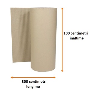 Rola Carton Ondulat CO2, 100 cm, 7 kg, Natur - Img 2