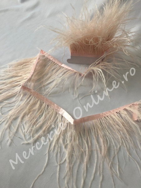 Banda pene strut, Rose Somon (la metru) Cod:1005 - Img 2