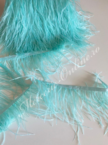 Banda pene strut, Verde Menta, (la metru) Cod:1784 - Img 2