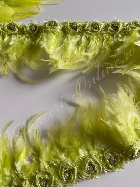 Banda pene cocos cu aplicatie strasuri, Verde Lime (la metru) Cod:2120 - Img 2