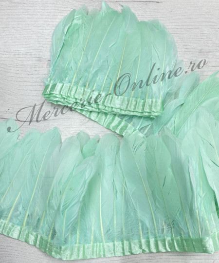 Banda pene porumbel, Verde Menta Deschis (la metru) Cod:2835 - Img 2