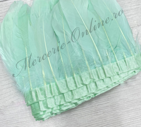 Banda pene porumbel, Verde Menta Deschis (la metru) Cod:2835
