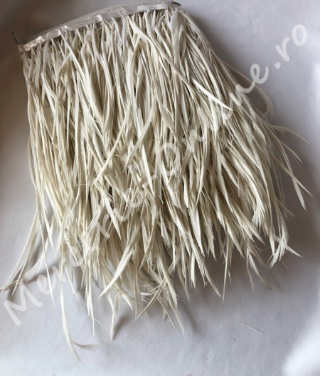 Banda pene rigide gasca, (la metru) Cod:1063