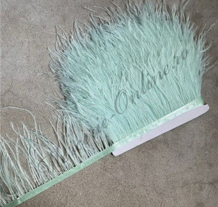 Banda pene strut, Verde Menta Deschis, (la metru) Cod:2670
