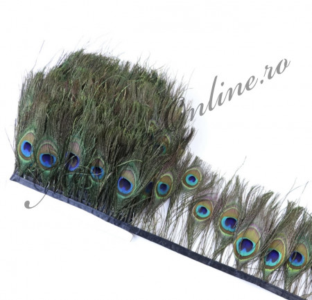 Banda pene paun, (la bucata - 50cm) Cod:2694 - Img 2