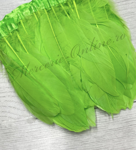 Banda pene porumbel, Verde Lime (la metru) Cod:2812