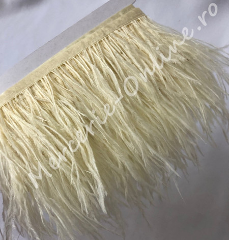 Banda pene strut, (la metru) Cod:0998