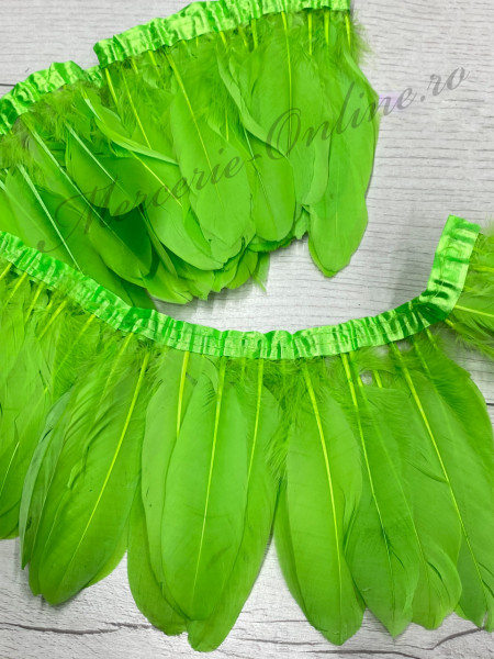 Banda pene porumbel, Verde Lime (la metru) Cod:2812 - Img 2