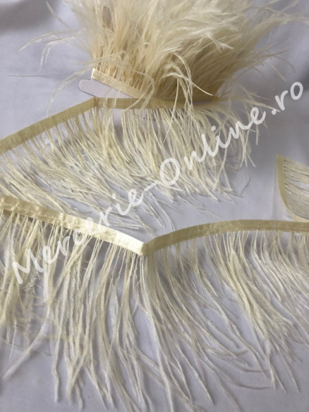 Banda pene strut, (la metru) Cod:0998 - Img 2