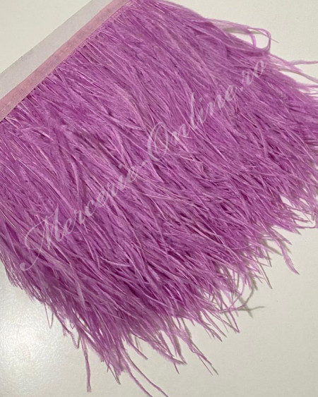 Banda pene strut, (la metru) Cod:2427