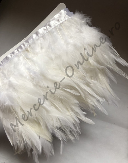 Banda pene cocos, (la metru) Cod:2212