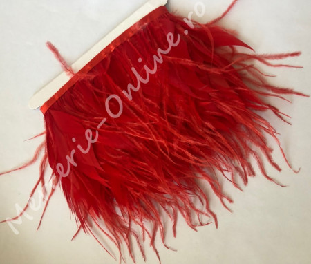 Banda pene cocos cu strut, (la metru) Cod:0086