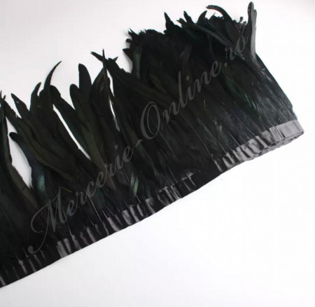Banda pene cocos lungi, Negru, (la metru) Cod:2175