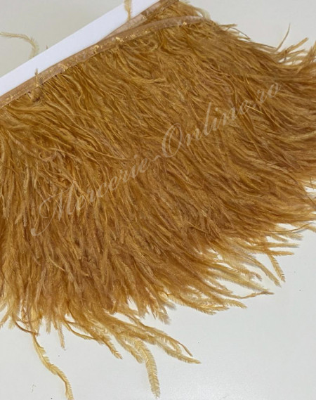 Banda pene strut, Gold, (la metru) Cod:2530