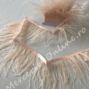 Banda pene strut, Rose Somon (la metru) Cod:1005 - Img 2