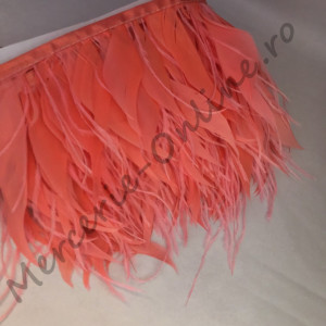 Banda pene cocos cu strut, (la metru) Cod:0084