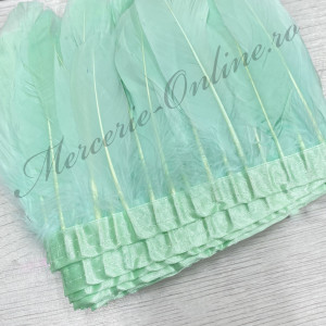 Banda pene porumbel, Verde Menta Deschis (la metru) Cod:2835