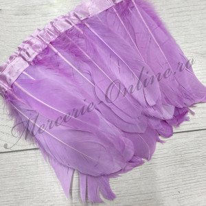 Banda pene porumbel, Rose (la metru) Cod:2819