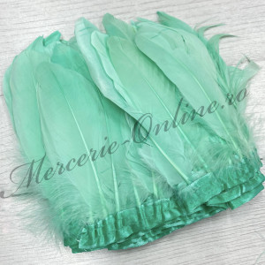 Banda pene porumbel, Verde Menta (la metru) Cod:2836