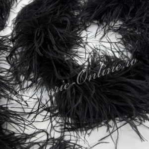 Sal din pene de strut, (2yards/pachet) Cod:3776 - Img 2