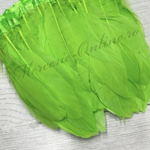 Banda pene porumbel, Verde Lime (la metru) Cod:2812