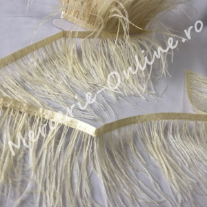 Banda pene strut, (la metru) Cod:0998 - Img 2