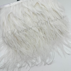 Banda pene cocos cu strut, (la metru) Cod:0079
