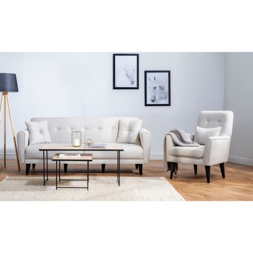 Canapea Extensibila ARİA-TAKIM5-S 1005