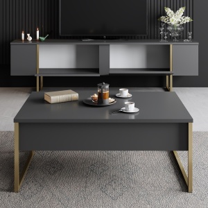 Comoda TV Luxe - Anthracite, Gold - Img 5