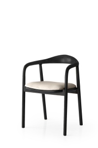 Scaun PA - 031 - Img 1