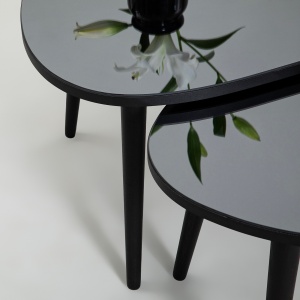 Masa Plianta Gusto Set- Black, Fume - Img 4