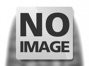 MICHELIN CROSSCLIMATE 3 SPORT A39 XL 245/45 R20