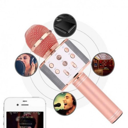 Microfon Wireless Karaoke Bluetooth WS-858 Card SD