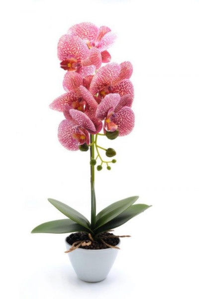 Orhidee artificiala siliconata cu aspect 100% natural, in bol de ceramica alb 45 cm