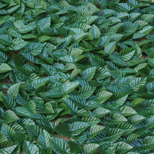 Gard decor frunze, 300X100cm - Img 2