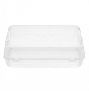 Cutie depozitare incaltaminte, transparent, 20,6x35,3x12,6 cm
