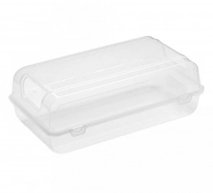 Cutie depozitare incaltaminte, transparent, 20,6x35,3x12,6 cm - Img 2