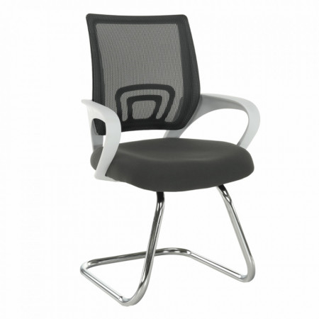 Scaun de şedinţă, gri și alb, 60x50x95 cm - TP255132