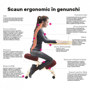 Scaun ergonomic, albastru, 46x65x52-72 cm - TP300220 - Img 2
