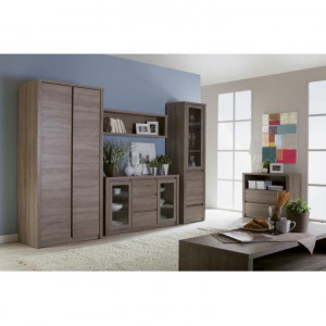 Dulap cu două uşi, culoarea stejar - TP86163 - Img 2