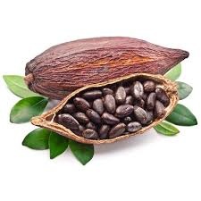 Imagini pentru boabe cacao