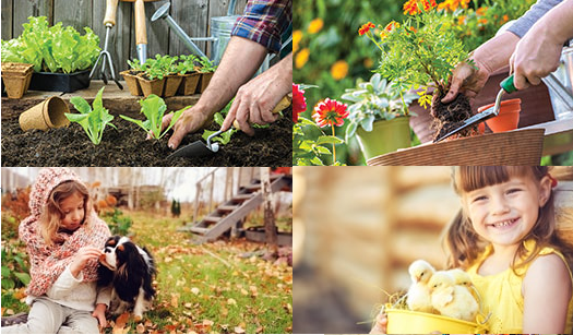 Agriculture, Animalerie