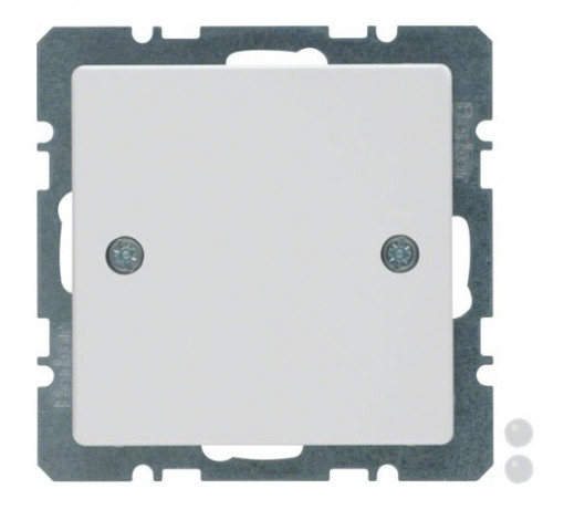 10096079H - Blind Plug Centre Plate - Screw-on White