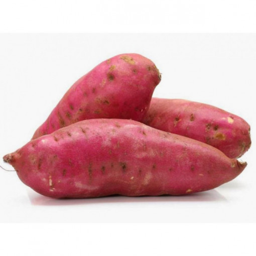 Batata Doce de Trás-Os-Montes (preço por 1KG)