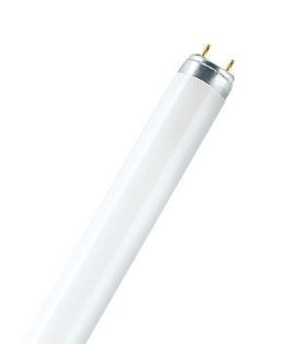 OSRAM LEDVANCE - 4050300518015 - Tradicional L 30 W/865 30 W 2350 lm