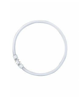 OSRAM LEDVANCE - 4050300646237 - Tradicional FC 22 W/827 22 W 1900 lm